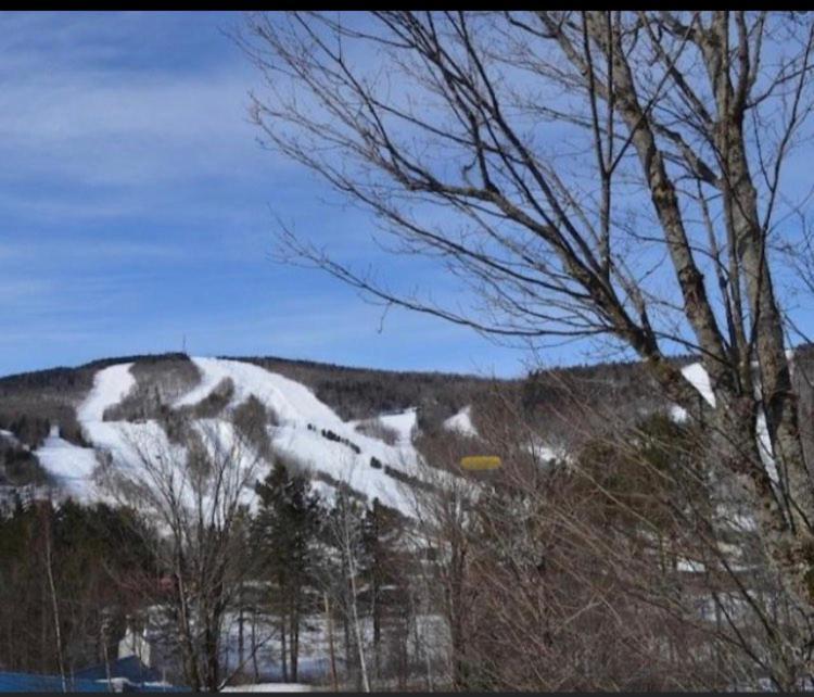 Condo Sur 2 Niveaux Avec Magnifique Vue Sur La Montagne Стоунхем Экстерьер фото